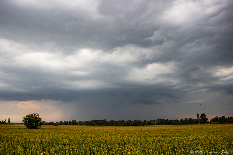 Temporali sul basso Piemonte